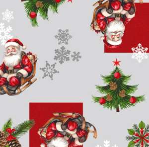 NON02 SAPIN Gris